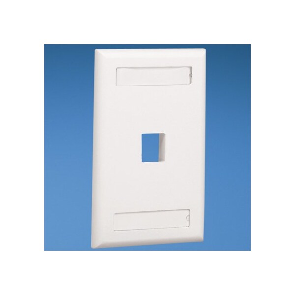 Flush Mount Screw-On Faceplates With Lab (10 Pack), 10PK